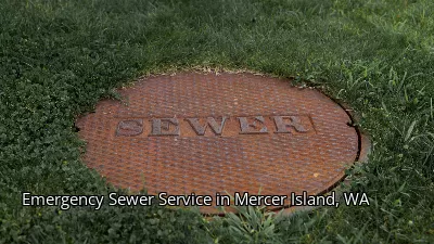Emergency Sewer Service in Mercer Island, WA