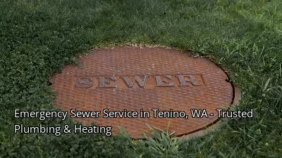 Emergency Sewer Service in Tenino, WA - Trusted Plumbing & Heating