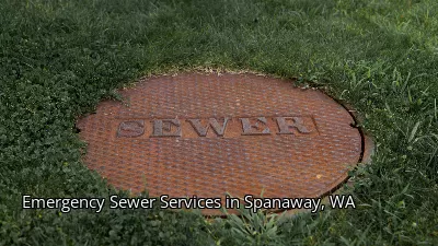 Emergency Sewer Services in Spanaway, WA