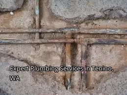Expert Plumbing Services in Tenino, WA Expert Plumbing Services in Tenino, WA