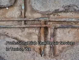 Professional Slab Leak Repair Services in Tenino, WA Professional Slab Leak Repair Services in Tenino, WA
