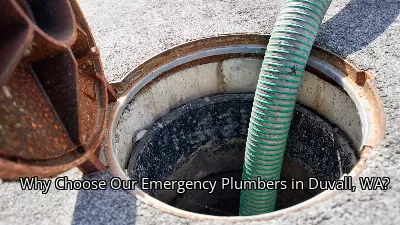 Why Choose Our Emergency Plumbers in Duvall, WA?