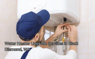 Water Heater Upgrade Services in Black Diamond, WA