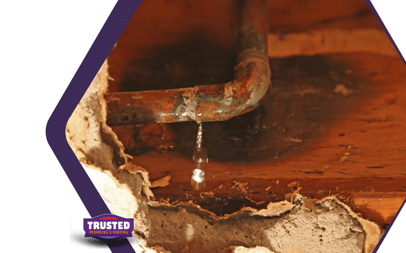 Kirkland Water Leak Repair