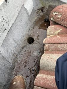 leak detection covington