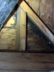 leak detection covington