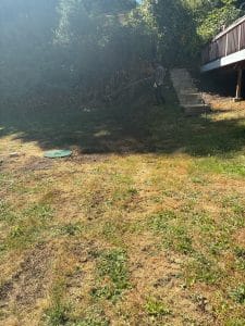 Renton Sewer Drain Line Repair