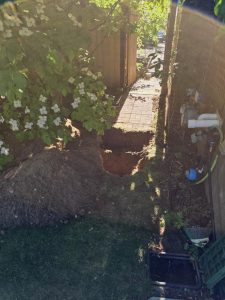 Outside Drain and Basement Toilet Backup Repair in Seattle, WA