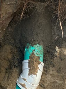 Outside Drain and Basement Toilet Backup Repair in Seattle, WA