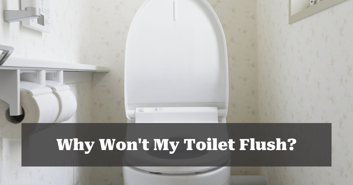 Why Won't My Toilet Flush?