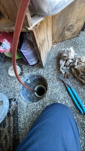bellevue drain camera inspection